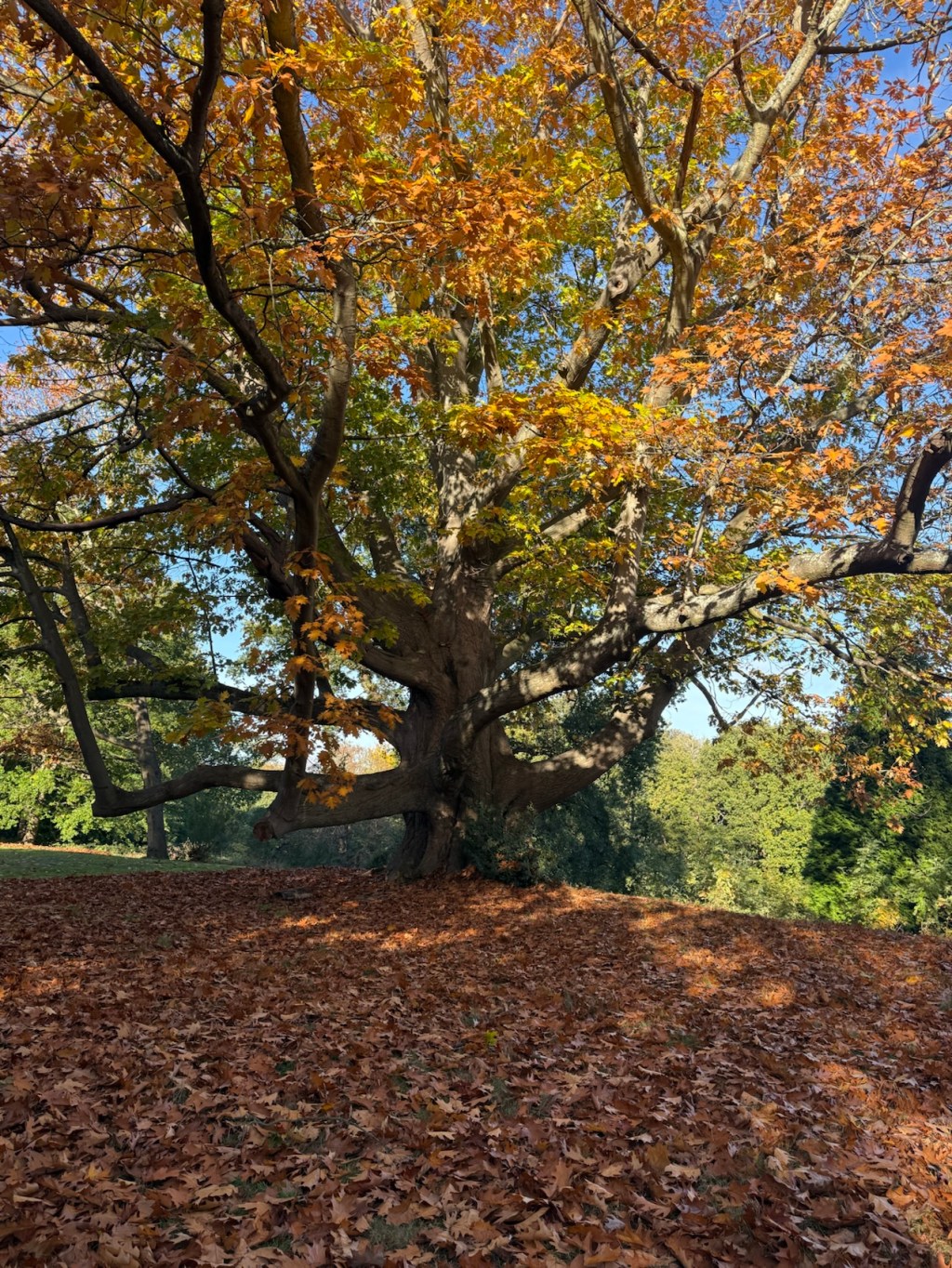 Cosy Things To Do in London This November (That Don’t Involve a&nbsp;Hangover)